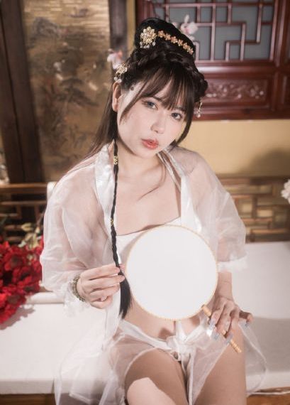一仆二主电视剧