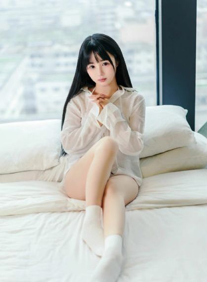 拉布拉多动画片免费观看
