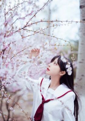成年人在线视频